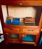 Caviahok caviakooi hok kooi hamster cavia hout kast, Dieren en Toebehoren, Knaagdieren en Konijnen | Hokken en Kooien, Ophalen