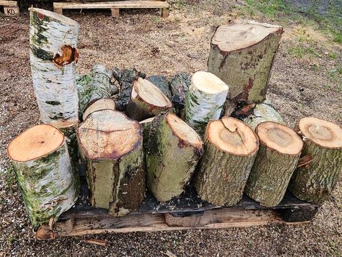 Partij kastanje hout tbv draaibank, Tuin en Terras, Haardhout, Blokken, Overige houtsoorten, Ophalen of Verzenden