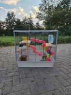 Hamsterkooi, Dieren en Toebehoren, Knaagdieren en Konijnen | Hokken en Kooien, Ophalen, Kooi, Gebruikt, 60 tot 90 cm
