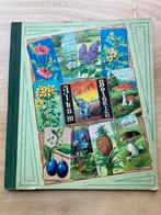 Cote d’ Or botanica plaatjes album, Antiek en Kunst, Antiek | Boeken en Bijbels, Ophalen, Cote d’Or