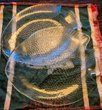 2 Vintage Arcoroc Visschalen Glas – Groot Formaat – s, Ophalen, Glas, Overige stijlen, Schaal of Schalen