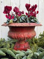 Tuinvaas gietijzer rood bloempot, Ophalen