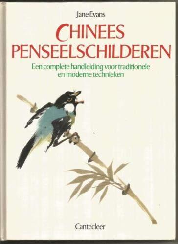 Chinees penseelschilderen - Jane Evans, Ophalen of Verzenden, Nieuw, Tekenen en Schilderen