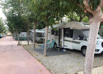 Benimar Cocoon 487 2020 40.000KM