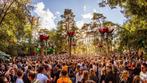 Into the woods ADE zaterdagtickets 2, Tickets en Kaartjes, Eén persoon