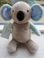 Plush Koala with musical Wind-Up merk DaySpring knuffel met, Ophalen of Verzenden, Nieuw, Beer