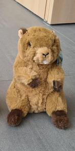 Nieuw: WWF knuffel (marmot) met kaartje eraan, Kinderen en Baby's, Speelgoed | Knuffels en Pluche, Ophalen of Verzenden, Nieuw