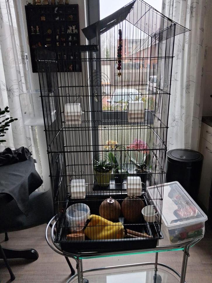 Vogelkooi, Dieren en Toebehoren, Vogels | Hokken en Kooien, Zo goed als nieuw, Vogelkooi, Metaal, Ophalen