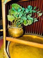 Prachtige antieke vogelkooi van messing en hout, Ophalen