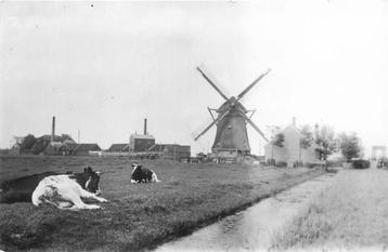 (378-308-033) Zaandijk Watermolen Het Leven beschikbaar voor biedingen