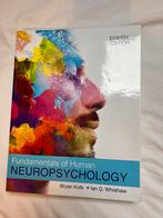 Fundamentals of human neuropsychology, Boeken, Studieboeken en Cursussen, Ophalen of Verzenden, Beta, Zo goed als nieuw, WO