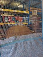 Auping bedbodem 2x, Huis en Inrichting, Ophalen, 2e hands, Gebruikt, Eenpersoons