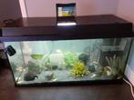 Aquarium, Dieren en Toebehoren, Ophalen, Zo goed als nieuw