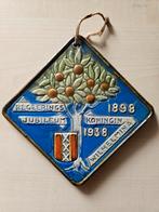 Regeerings Jubileum 1898 1938 koningin Wilhelmina, Verzamelen, Koninklijk Huis en Royalty, Verzenden, Zo goed als nieuw