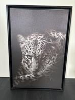 Zwart-wit luipaard print met lijst, Ophalen, Zo goed als nieuw, Print, 50 tot 75 cm