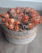 Sobere bloementaartje(s), Ophalen, Zo goed als nieuw