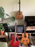 Gitaarles, Privéles, Snaarinstrumenten