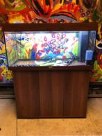 Juwel Aquarium Rio 180L incl. donkerbruin noten meubel-leeg, Gebruikt, Ophalen, Leeg aquarium