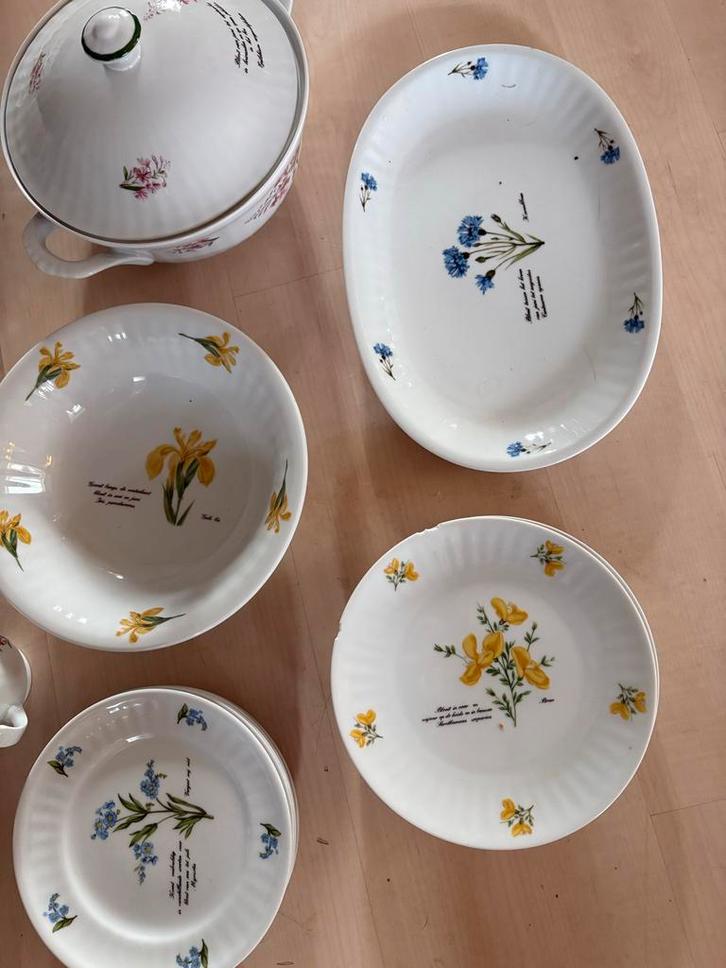 Libelle Servies, Huis en Inrichting, Keuken | Servies, Gebruikt, Overige typen, Overige stijlen, Aardewerk, Ophalen of Verzenden