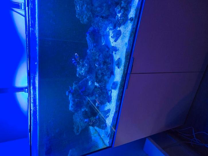 Zeeaquarium, Dieren en Toebehoren, Vissen | Aquaria en Toebehoren, Gebruikt, Ophalen of Verzenden