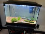 Aquarium 58x30x40cm 70L, Dieren en Toebehoren, Vissen | Aquaria en Toebehoren, Ophalen of Verzenden, Zo goed als nieuw, Leeg aquarium