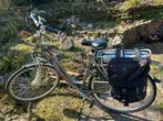 RIH Omega en Giant Giant Twist Go Double Power E-bike, 51 tot 55 cm, Ophalen, Gebruikt, Overige merken