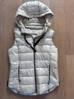 Esprit bodywarmer, Ophalen of Verzenden, Zo goed als nieuw