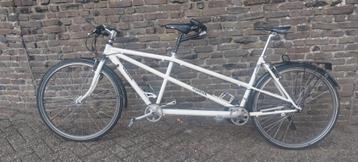 Kleine Vlerick Tandem beschikbaar voor biedingen
