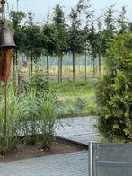 Stacaravan op Camping Spaendershorst te Esbeek