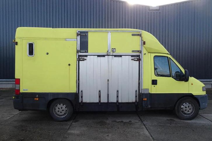 Citroën Paardenauto (bj 2002), Dieren en Toebehoren, Paarden en Pony's | Trailers en Aanhangwagens, Gebruikt, Overige typen