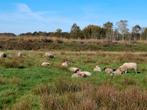 Twee goedkope kaartjes Wildlands Emmen, Tickets en Kaartjes, Twee personen, Ticket of Toegangskaart