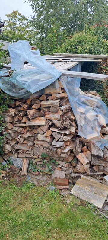 4m3 Houtblokken te Koop beschikbaar voor biedingen