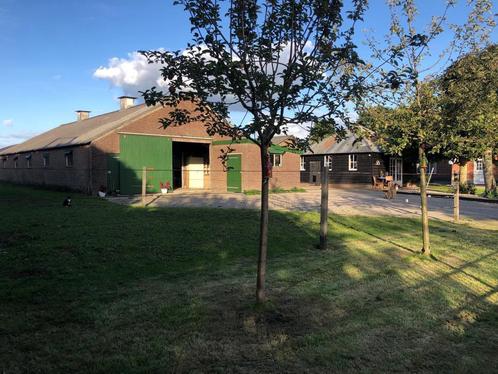 Privéstal heeft 1 stal vrij voor gepensioneerd paard/pony, Dieren en Toebehoren, Stalling en Weidegang, Weidegang