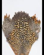 Jungle cock gezocht, Ophalen, Zo goed als nieuw