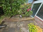 Wilgentenen 3 bossen, Ophalen, Nieuw, Hout, 3 tot 6 meter