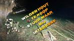 Wilgen brand hout, 6 m³ of meer, Ophalen of Verzenden, Takken