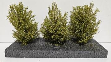 MBR Grote Bosjes groen beschikbaar voor biedingen