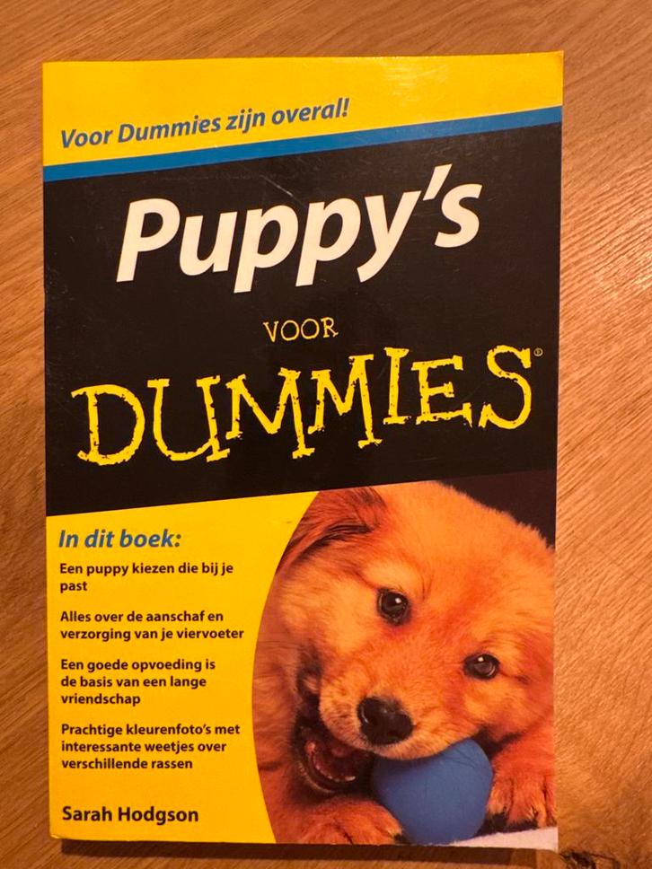 Sarah Hodgson - Puppy's voor Dummies, Boeken, Dieren en Huisdieren, Zo goed als nieuw, Honden, Ophalen of Verzenden