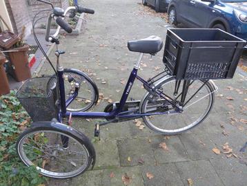 driewielfiets Trike Donkerblauw 3 versnellingen beschikbaar voor biedingen