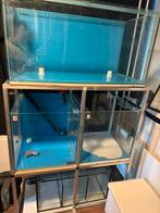 Aquariumstelling compleet met filter en pomp, Dieren en Toebehoren, Ophalen, Zo goed als nieuw, Leeg aquarium