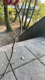 Stok, Ophalen of Verzenden, Zo goed als nieuw