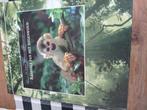 Raadsels van het regenwoud readers digest, Ophalen of Verzenden, Gelezen, Natuur algemeen