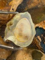 Ei phantoom water opaal, Verzamelen, Mineralen en Fossielen, Ophalen of Verzenden