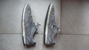 Floris van Bommel – 12 beschikbaar voor biedingen