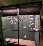 Volière + inhoud (schommels, touw, ed), Ophalen, Aluminium, Vogelkooi