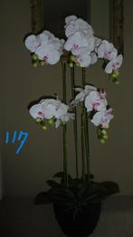 bijna nieuw. kunstplant VLINDER ORCHIDEE H114cm, Ophalen, Zo goed als nieuw, Binnen
