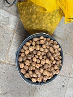 Verse Walnoten / Okkernoten te koop!, Diversen, Ophalen of Verzenden