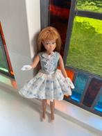 Skipper Barbie roodharig, Verzamelen, Poppen, Ophalen of Verzenden, Zo goed als nieuw, Kleertjes