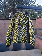 CMP Dames Skijas - Nieuwstaat, Maat 38/40 (M), Nieuw, Ophalen of Verzenden, CMP