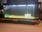 leeg juwel rio 450 aquarium met onderkast, Dieren en Toebehoren, Vissen | Aquaria en Toebehoren, Ophalen, Gebruikt, Leeg aquarium